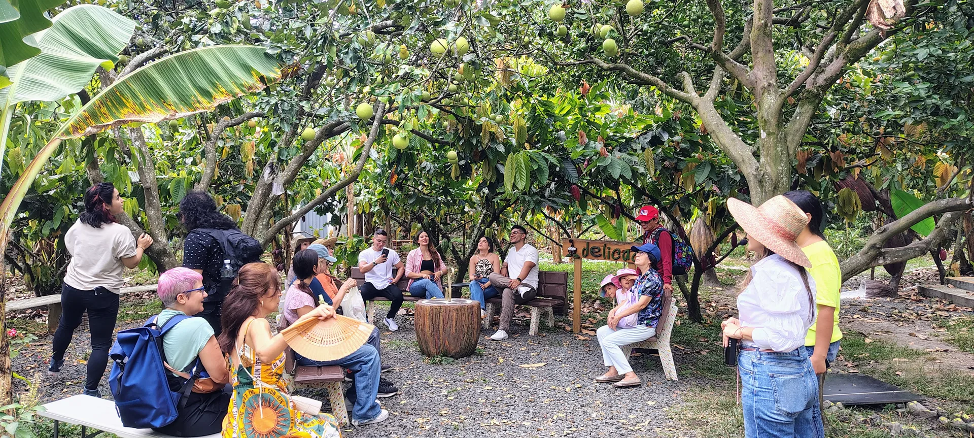 ChocoTour: Make Your Own Chocolate on a Cacao Farm